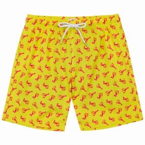 Boys Swim Trunks Boxer Brief Liner (sizes 614) | Lobster"