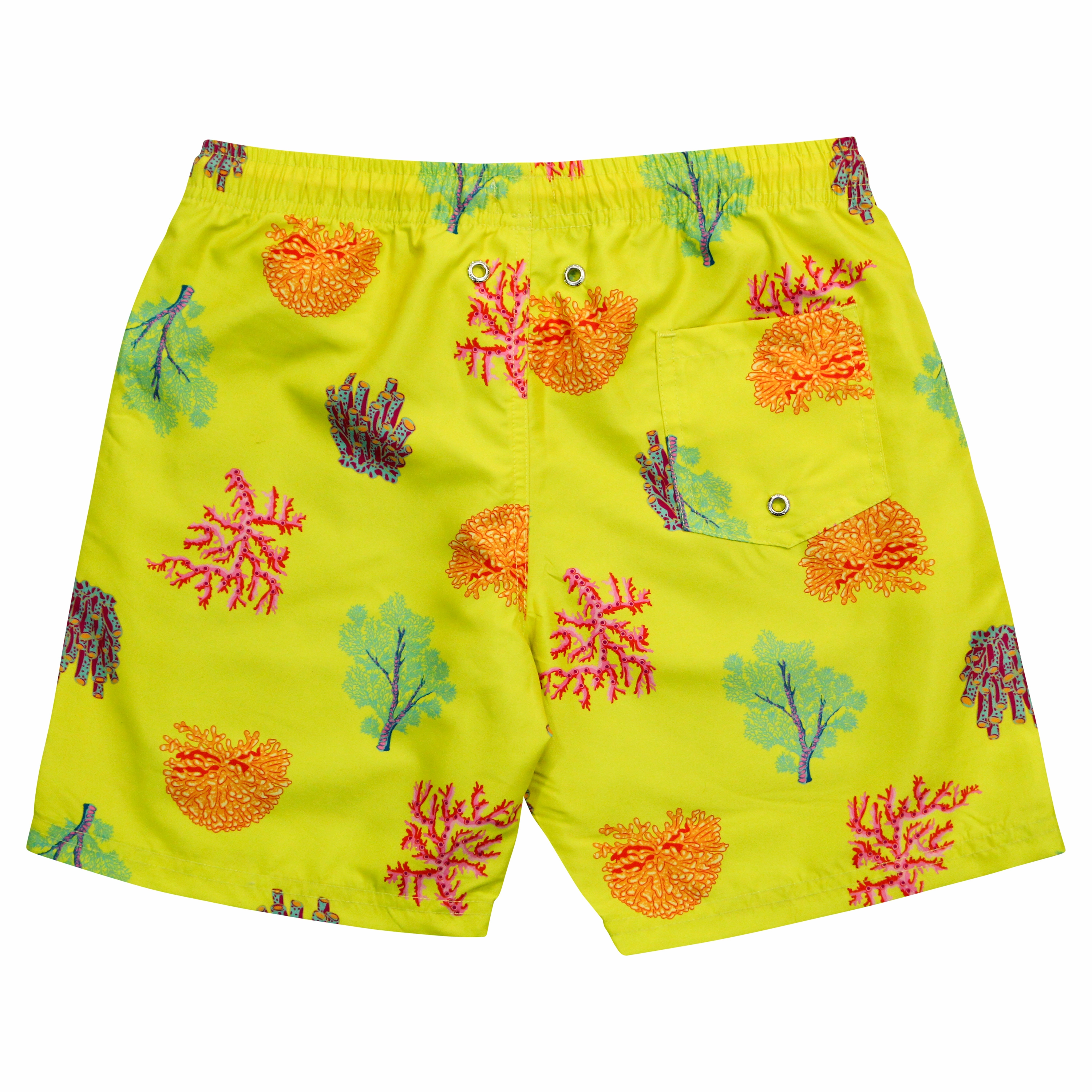 Boys Swim Trunks Boxer Brief Liner (sizes 6-14) | "Coral"