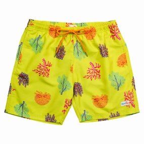 Boys Swim Trunks Boxer Brief Liner (sizes 6-14) | "Coral"