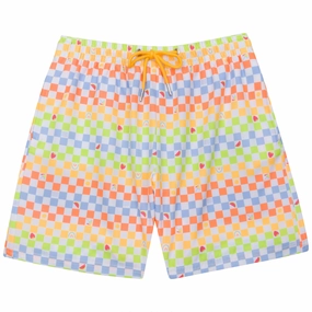 Boys Swim Trunks Boxer Brief Liner (sizes 6-14) | Gamified"