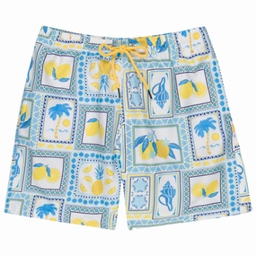 Boys Swim Trunks Boxer Brief Liner (sizes 6-14) | Mediterranean Lemons"