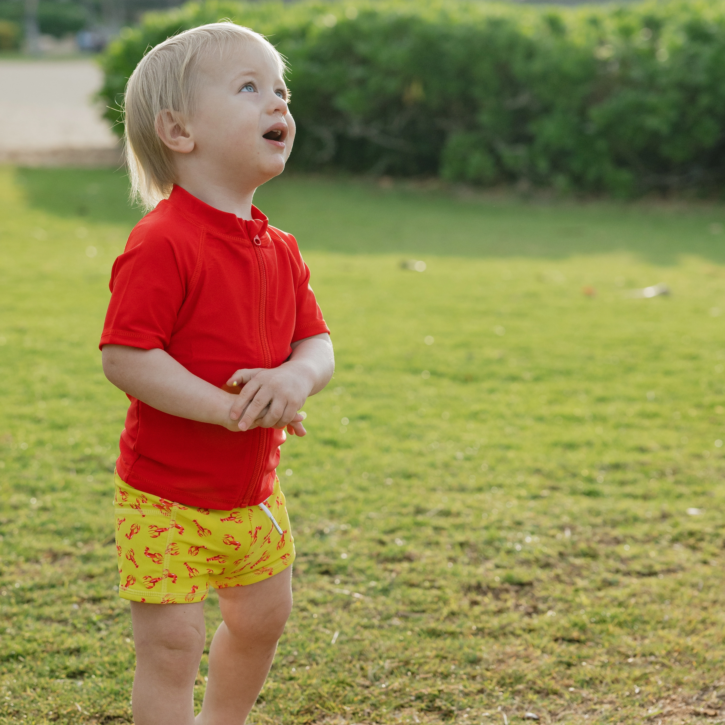 Kids Euro Swim Shorties | "Lobster"