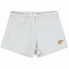 Konges Sljd Tea Stripe Aster Swim Pants Grs
