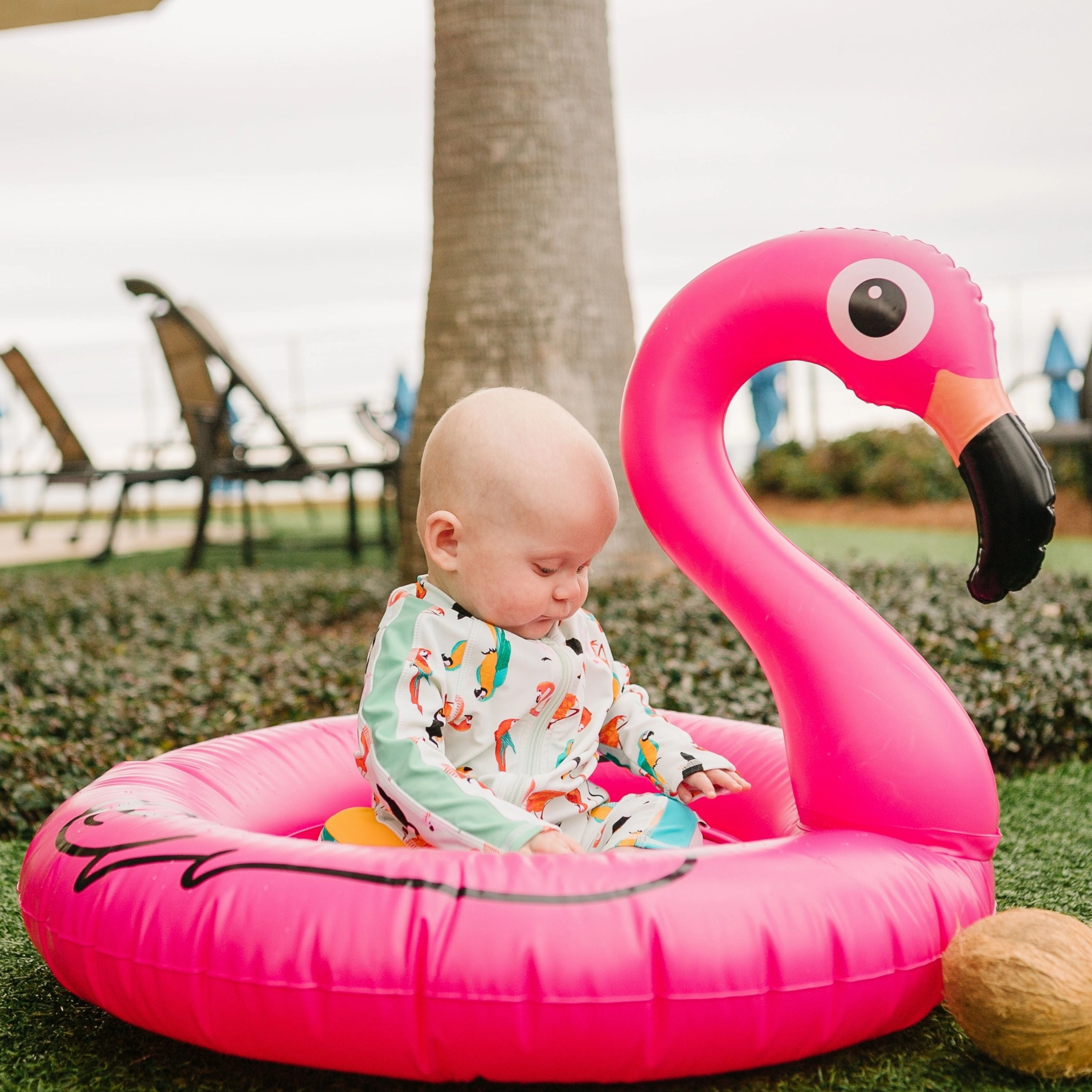 Sunsuit - Long Sleeve Romper Swimsuit | "Tropical Birds"