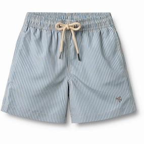 Wheat Blue Swim Stripe Swim Trunk Hansi