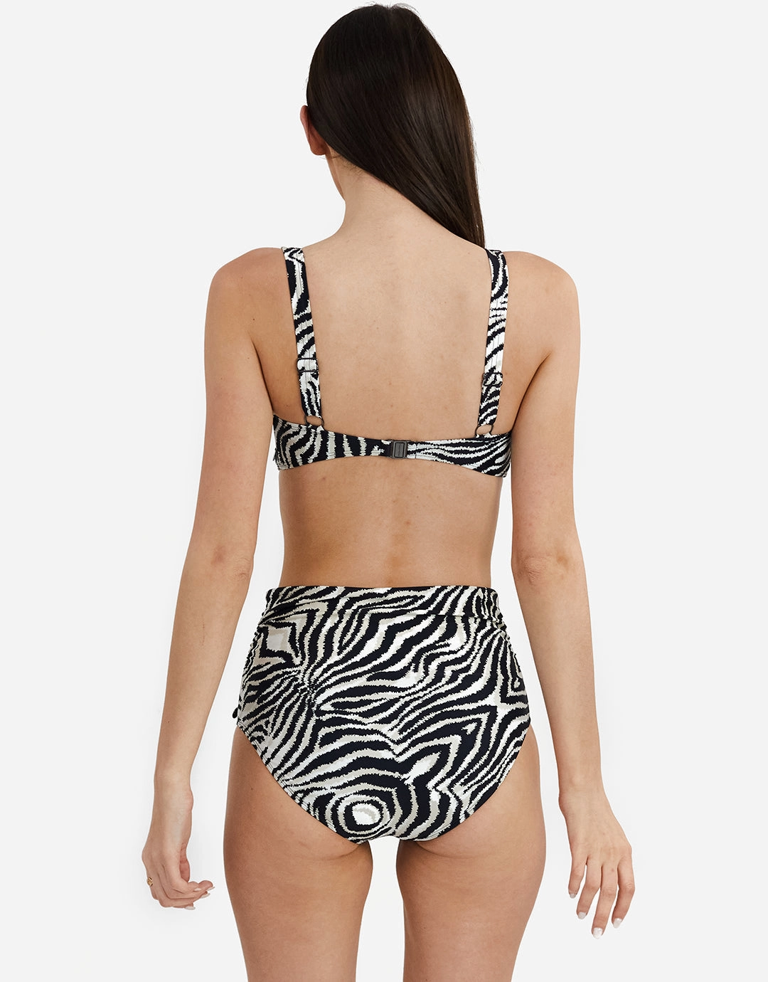 Zebra Chara Bikini Pant - Brown and White